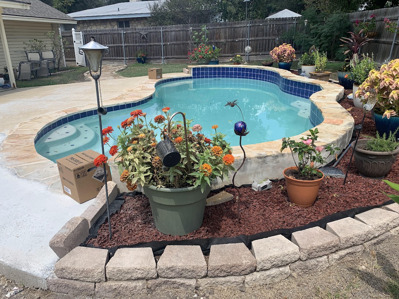 Pool after - beautiful with landscaping